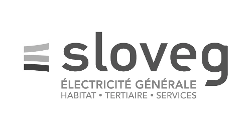 Sloveg